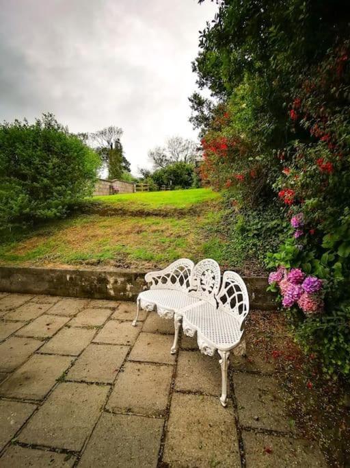 Orchard Cottage Dingle Extérieur photo