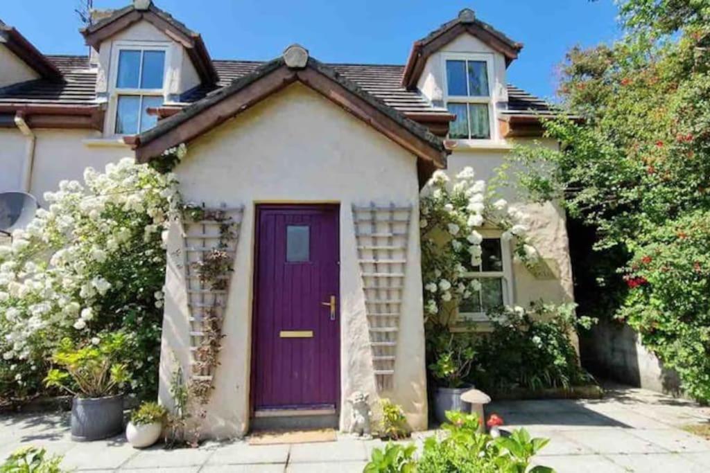 Orchard Cottage Dingle Extérieur photo